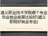 遵义职业技术学院哪个专业毕业就业前景比较好(遵义职院好就业专业)