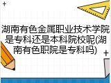 湖南有色金属职业技术学院是专科还是本科院校呢(湖南有色职院是专科吗)