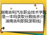 湖南吉利汽车职业技术学院是一本吗录取分数线多少(湖南吉利职院录取线)