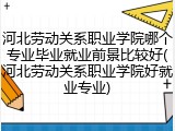 河北劳动关系职业学院哪个专业毕业就业前景比较好(河北劳动关系职业学院好就业专业)