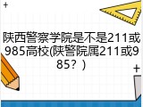 陕西警察学院是不是211或985高校(陕警院属211或985？)