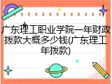 广东理工职业学院一年财政拨款大概多少钱(广东理工年拨款)