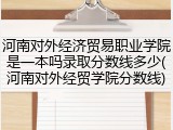 河南对外经济贸易职业学院是一本吗录取分数线多少(河南对外经贸学院分数线)