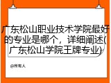 广东松山职业技术学院最好的专业是哪个，详细阐述(广东松山学院王牌专业)