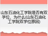 山东石油化工学院是否有双学位，为什么(山东石油化工学院双学位原因)