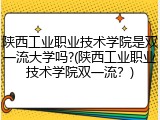 陕西工业职业技术学院是双一流大学吗?(陕西工业职业技术学院双一流？)