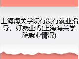 上海海关学院有没有就业指导，好就业吗(上海海关学院就业情况)