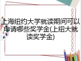 上海纽约大学就读期间可以申请哪些奖学金(上纽大就读奖学金)