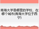 青海大学是哪里的学校，在哪个城市(青海大学位于西宁)