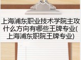 上海浦东职业技术学院主攻什么方向有哪些王牌专业(上海浦东职院王牌专业)