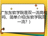 广东东软学院是双一流高校吗，简单介绍(东软学院双一流？)