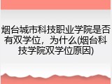 烟台城市科技职业学院是否有双学位，为什么(烟台科技学院双学位原因)