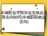 永城职业学院毕业生就业大致去向如何(永城职院就业去向)