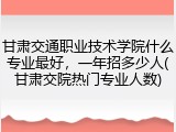 甘肃交通职业技术学院什么专业最好，一年招多少人(甘肃交院热门专业人数)