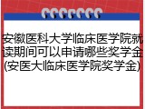 安徽医科大学临床医学院就读期间可以申请哪些奖学金(安医大临床医学院奖学金)