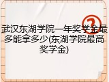 武汉东湖学院一年奖学金最多能拿多少(东湖学院最高奖学金)