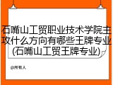 石嘴山工贸职业技术学院主攻什么方向有哪些王牌专业(石嘴山工贸王牌专业)