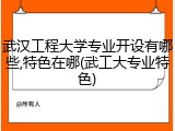 武汉工程大学专业开设有哪些,特色在哪(武工大专业特色)