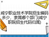 咸宁职业技术学院招生编码多少，隶属哪个部门(咸宁职院招生代码归属)