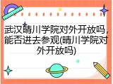 武汉晴川学院对外开放吗，能否进去参观(晴川学院对外开放吗)