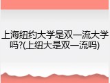 上海纽约大学是双一流大学吗?(上纽大是双一流吗)