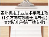 贵州机电职业技术学院主攻什么方向有哪些王牌专业(贵州机电学院王牌专业)