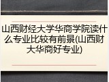 山西财经大学华商学院读什么专业比较有前景(山西财大华商好专业)