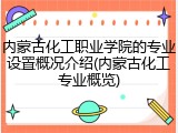 内蒙古化工职业学院的专业设置概况介绍(内蒙古化工专业概览)