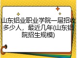 山东铝业职业学院一届招收多少人，最近几年(山东铝院招生规模)