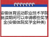 安徽体育运动职业技术学院就读期间可以申请哪些奖学金(安徽体院奖学金种类)