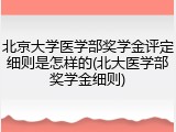 北京大学医学部奖学金评定细则是怎样的(北大医学部奖学金细则)