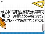 潍坊护理职业学院就读期间可以申请哪些奖学金(潍坊护理职业学院奖学金种类)