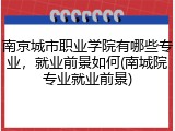 南京城市职业学院有哪些专业，就业前景如何(南城院专业就业前景)