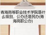 青海高等职业技术学院是什么级别，公办还是民办(青海高职公办)