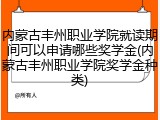 内蒙古丰州职业学院就读期间可以申请哪些奖学金(内蒙古丰州职业学院奖学金种类)