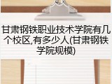 甘肃钢铁职业技术学院有几个校区,有多少人(甘肃钢铁学院规模)
