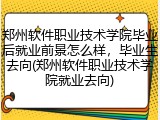 郑州软件职业技术学院毕业后就业前景怎么样，毕业生去向(郑州软件职业技术学院就业去向)