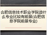 合肥信息技术职业学院读什么专业比较有前景(合肥信息学院前景专业)