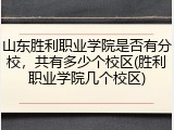 山东胜利职业学院是否有分校，共有多少个校区(胜利职业学院几个校区)