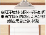 资阳环境科技职业学院如何申请在读间的创业无息贷款(创业无息贷款申请)