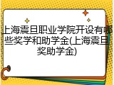 上海震旦职业学院开设有哪些奖学和助学金(上海震旦奖助学金)