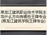 黑龙江建筑职业技术学院主攻什么方向有哪些王牌专业(黑龙江建筑学院王牌专业)