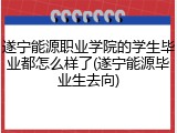 遂宁能源职业学院的学生毕业都怎么样了(遂宁能源毕业生去向)