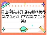保山学院共开设有哪些类型奖学金(保山学院奖学金种类)