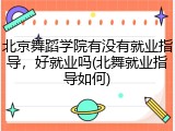 北京舞蹈学院有没有就业指导，好就业吗(北舞就业指导如何)
