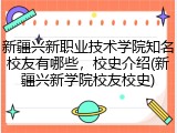 新疆兴新职业技术学院知名校友有哪些，校史介绍(新疆兴新学院校友校史)