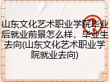 山东文化艺术职业学院毕业后就业前景怎么样，毕业生去向(山东文化艺术职业学院就业去向)