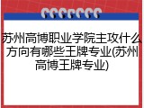 苏州高博职业学院主攻什么方向有哪些王牌专业(苏州高博王牌专业)