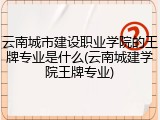 云南城市建设职业学院的王牌专业是什么(云南城建学院王牌专业)