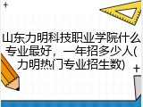 山东力明科技职业学院什么专业最好，一年招多少人(力明热门专业招生数)